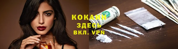 2c-b Богородицк