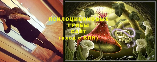 2c-b Богородицк