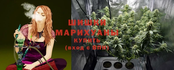2c-b Богородицк